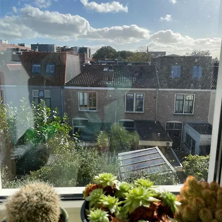 Cosy